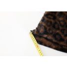 BG1087 - LEOPARD