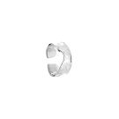 JE15029 - SILVER