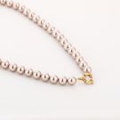 JE19099 - CHAMPAGNE