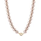 JE19101 - CHAMPAGNE