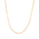 JE19593 - BEIGE