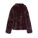 KL70813 - BURGUNDY