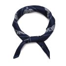 SH70689 - NAVY