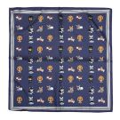 SH70974 - NAVY