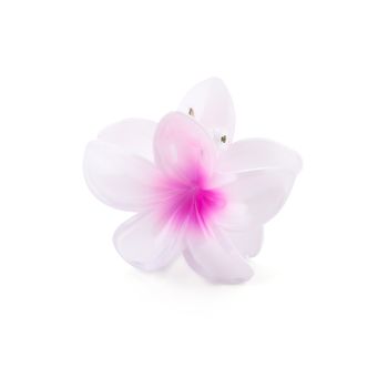 JE19129 - PINK