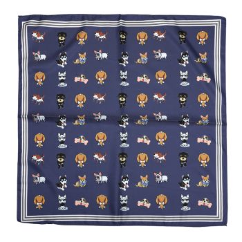 SH70974 - NAVY