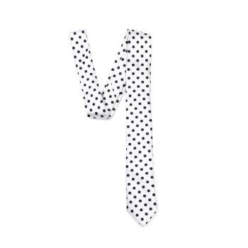 SH71119 - DOT WHITE