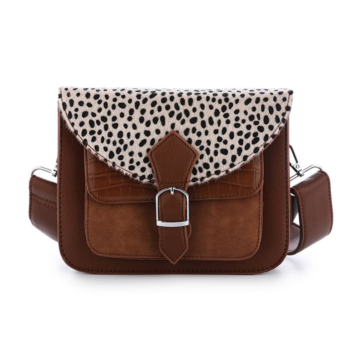BG976 - CHEETAH