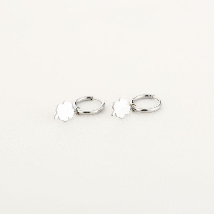 JE14668 - SILVER