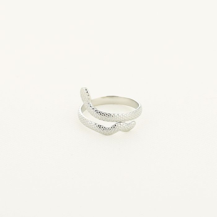 JE15008 - SILVER