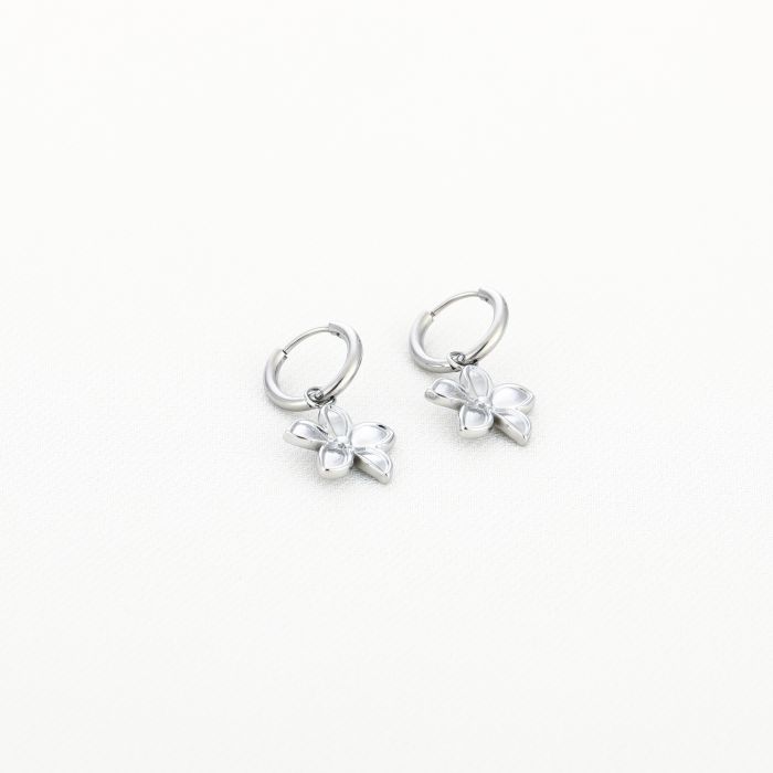 JE18748 - SILVER