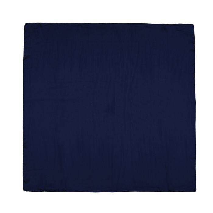 SH70666 - NAVY